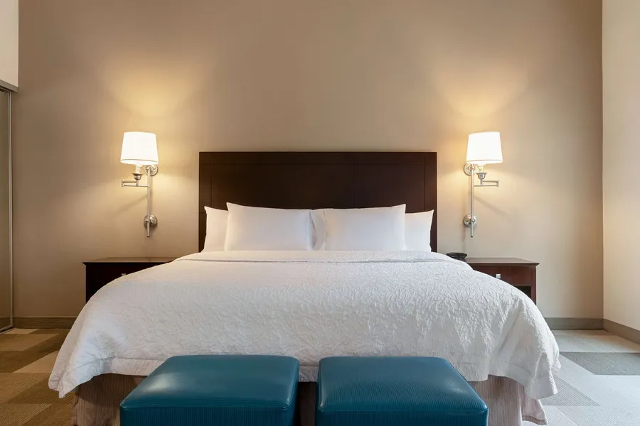Hampton Inn & Suites Atlanta Airport West/Camp Creek Pkwy hotel detail image 6