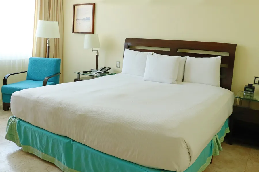 Holiday Inn Villahermosa Aeropuerto by IHG hotel detail image 6