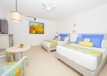 Mestizo Gallery hotel thumbnail 3