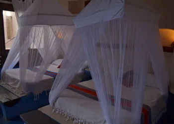 La Posada del Sol Boutique Hotel Tulum hotel thumbnail 5