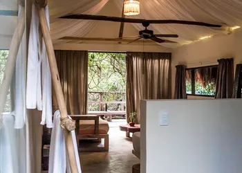 Roc Jungle Tulum hotel thumbnail 3