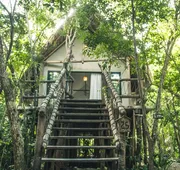 Roc Jungle Tulum hotel detail image 4