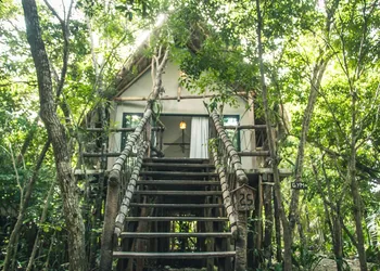 Roc Jungle Tulum hotel thumbnail 4