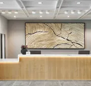 AC Hotel by Marriott Austin Hill Country hotel detail image 3