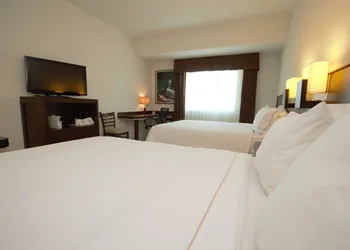 Holiday Inn Express Tuxtla Gutierrez La Marimba by IHG hotel thumbnail 8