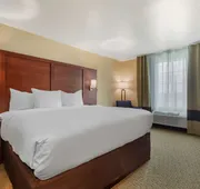 Comfort Inn & Suites Euless DFW West hotel detail image 4