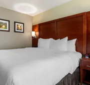 Comfort Inn & Suites Euless DFW West hotel detail image 5
