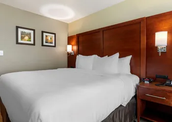 Comfort Inn & Suites Euless DFW West hotel thumbnail 5