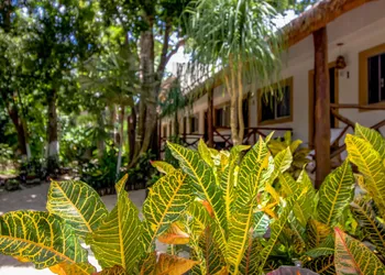 Hotel Tequila Cancun hotel thumbnail 5