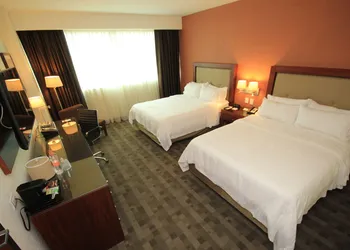 Holiday Inn Leon Plaza Mayor by IHG hotel thumbnail 6