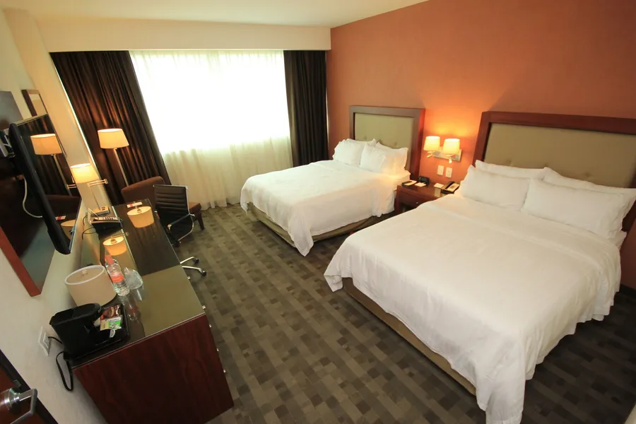 Holiday Inn Leon Plaza Mayor by IHG hotel detail image 6
