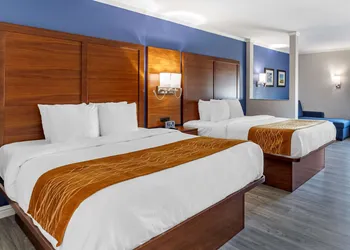 Comfort Suites St. Louis - Sunset Hills hotel thumbnail 6