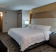 Holiday Inn McAllen – Medical Center Area by IHG hotel detail image 5