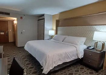 Holiday Inn McAllen – Medical Center Area by IHG hotel thumbnail 5