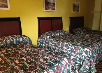 Flamingo Inn hotel thumbnail 5