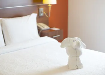 Hampton Inn by Hilton San Juan del Rio hotel thumbnail 6