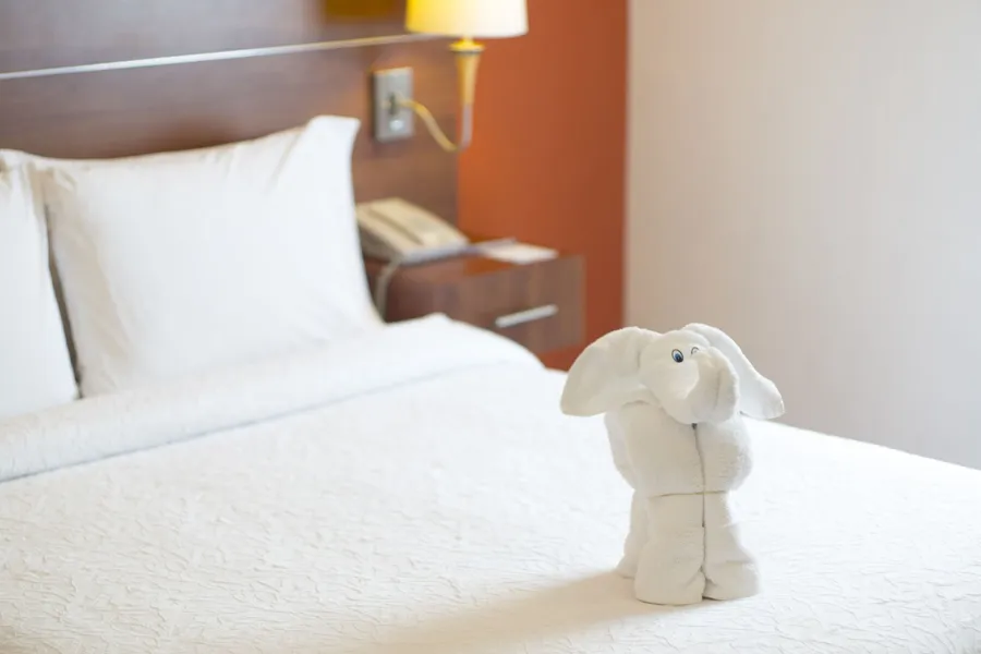 Hampton Inn by Hilton San Juan del Rio hotel detail image 6