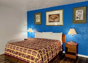 Village Inn hotel thumbnail 6