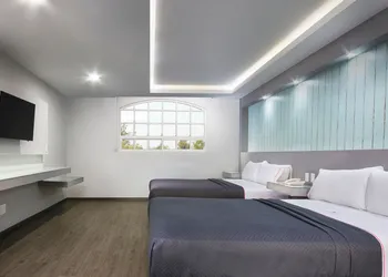 Hotel MX congreso CDMX, Trademark Collection by Wyndham hotel thumbnail 5