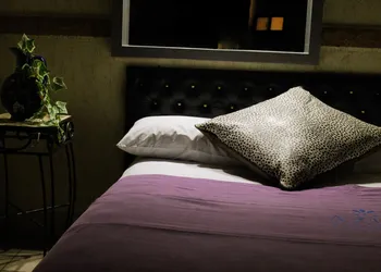 Villas y Suites Paraiso del Sur hotel thumbnail 5
