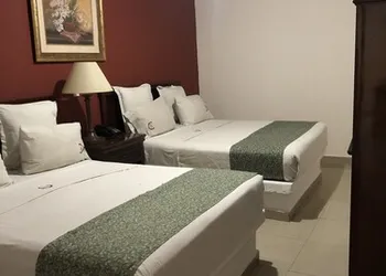 Hotel Confort Plaza & Suite hotel thumbnail 8
