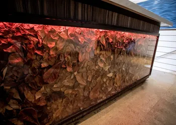 Ciqala Suites Hotel hotel thumbnail 4