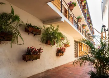 Rincon Soñado, Valle de Bravo hotel thumbnail 6