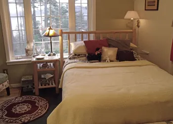 Inn to the Woods B&B hotel thumbnail 2