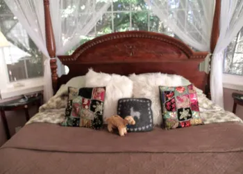 Inn to the Woods B&B hotel thumbnail 8