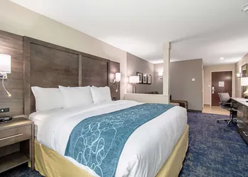 Comfort Suites Humble Houston IAH hotel thumbnail 7