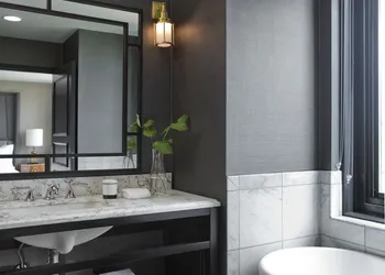 Viceroy Washington DC hotel thumbnail 7