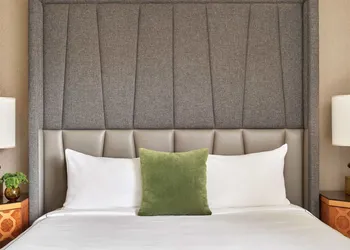 Viceroy Washington DC hotel thumbnail 8