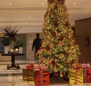 Sheraton Maria Isabel Mexico City Reforma hotel detail image 4