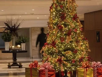Sheraton Maria Isabel Mexico City Reforma hotel thumbnail 4