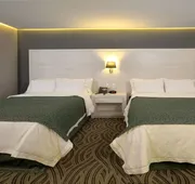 Holiday Inn Express Pachuca by IHG hotel detail image 5