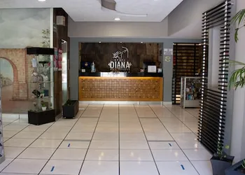 Hotel Diana del Bosque by DOT Urban hotel thumbnail 6