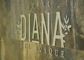 Hotel Diana del Bosque by DOT Urban hotel thumbnail 8