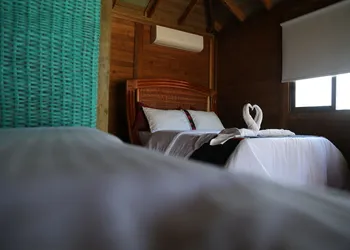 Winíka Alterra hotel thumbnail 2