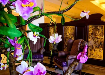 Hotel Plaza Campeche hotel thumbnail 3