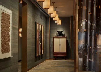 Viceroy Chicago hotel thumbnail 2