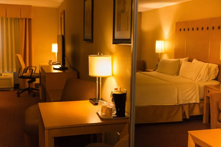 Holiday Inn Express Saltillo Zona Aeropuerto by IHG hotel detail image 6