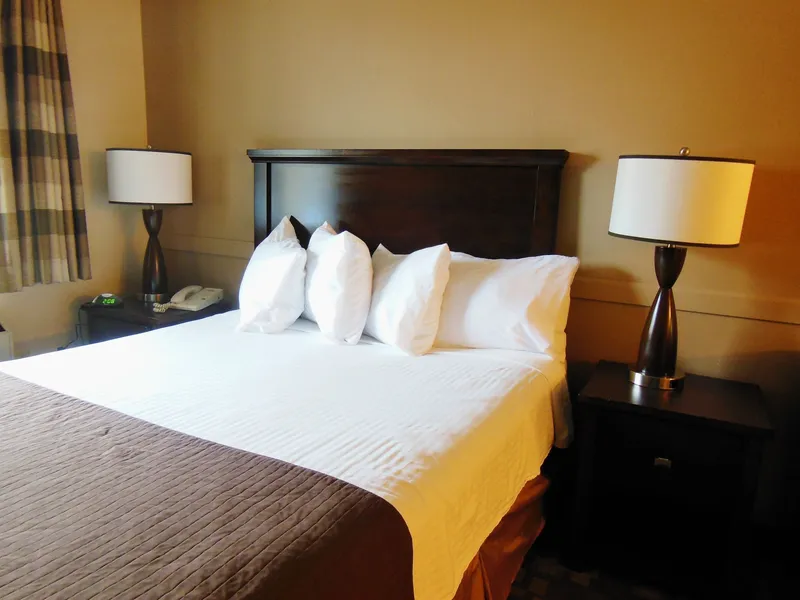 Niwas Inn hotel detail image 6