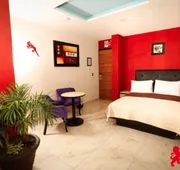 Hotel Leones hotel detail image 7