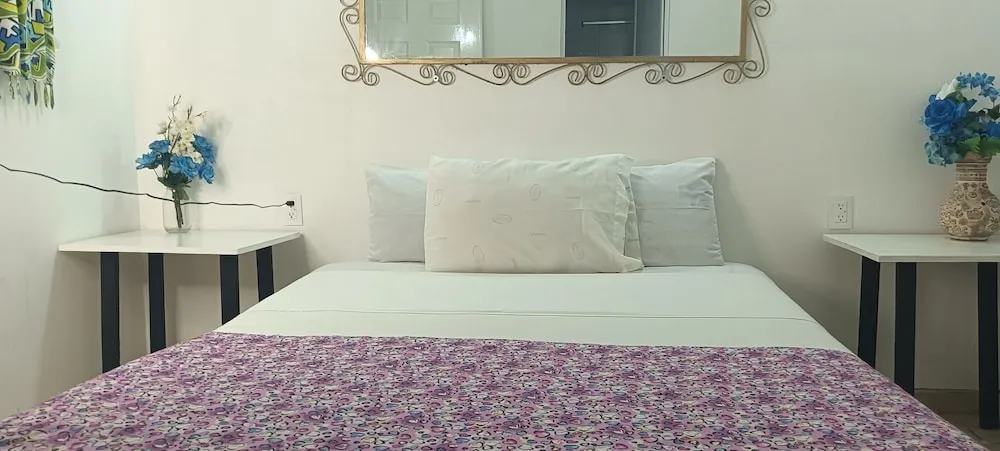 Alexandross Hostel BnB hotel detail image 2