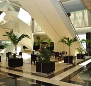 Royal Pedregal Hotel hotel detail image 3