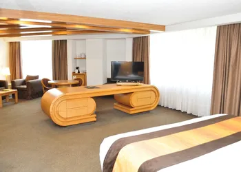 Royal Pedregal Hotel hotel thumbnail 6