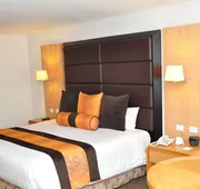 Royal Pedregal Hotel hotel detail image 7