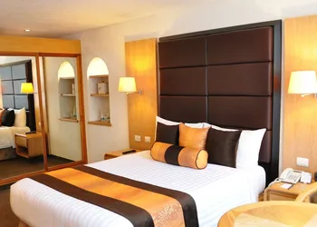 Royal Pedregal Hotel hotel thumbnail 8