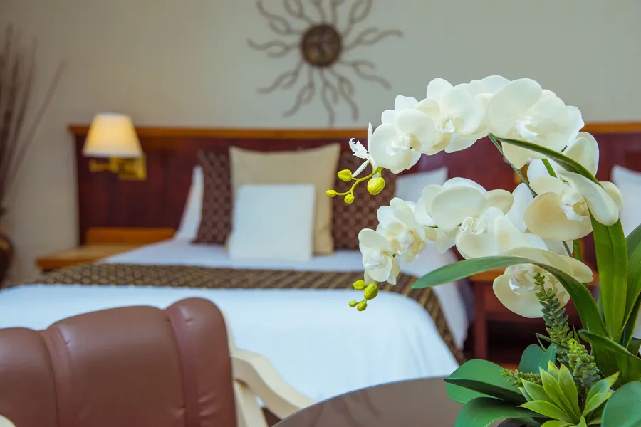 Estero Beach Hotel & Resort hotel detail image 6