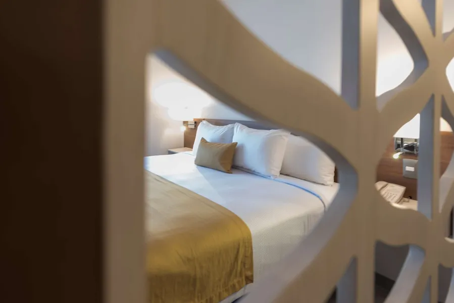 Microtel Inn & Suites by Wyndham San Luis Potosi hotel detail image 6